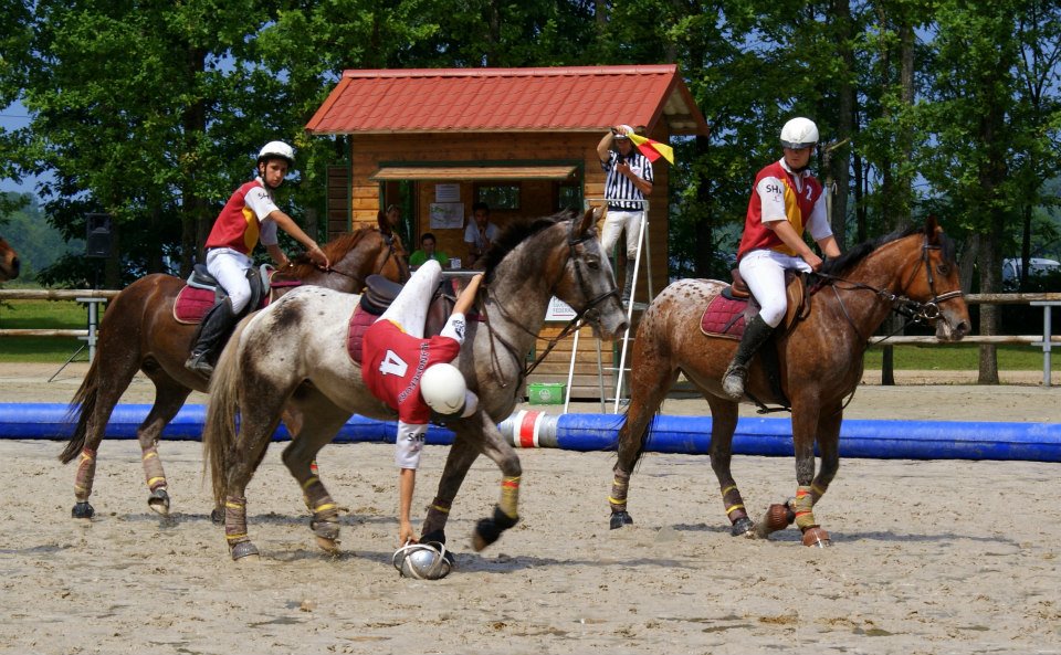 photo de horse-ball